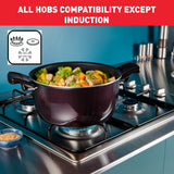 Tefal Resist Intense Stewpot + Glass Lid