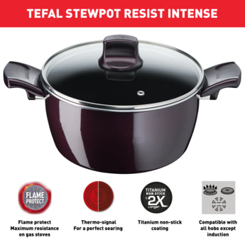 Tefal Resist Intense Stewpot + Glass Lid