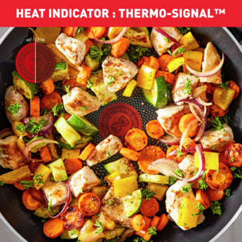 Tefal Resist Intense Stewpot + Glass Lid