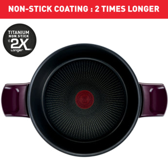 Tefal Resist Intense Stewpot + Glass Lid
