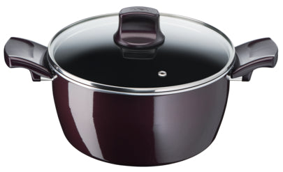 Tefal Resist Intense Stewpot + Glass Lid