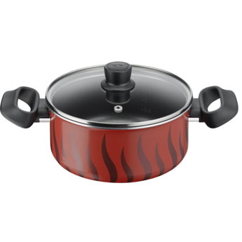 Tefal Tempo Flamme Stewpot
