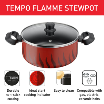 Tefal Tempo Flamme Stewpot