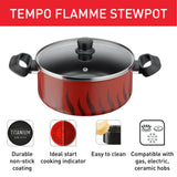 Tefal Tempo Flamme Stewpot