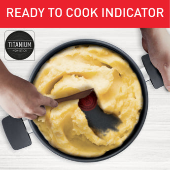 Tefal Tempo Flamme Stewpot