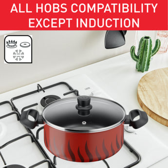 Tefal Tempo Flamme Stewpot